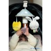 Taf Toys Μόμπιλε Κούνιας με Μουσική Mini Garden Pram για Νεογέννητα 13195